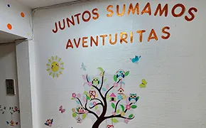 De los 6 meses a 24 meses